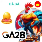 vz66 Game 06
